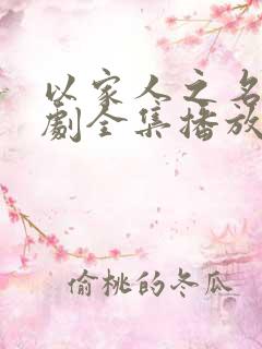 以家人之名电视剧全集播放