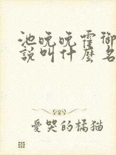 池晚晚霍御沉小说叫什么名字