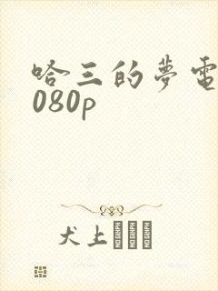 哈三的梦电影1080p