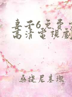 妻子6免费完整高清电视剧在线观看