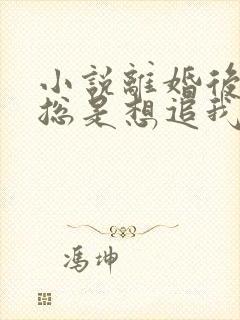 小说离婚后前夫总是想追我免费读