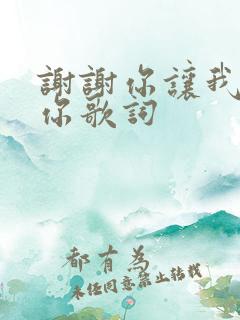 谢谢你让我遇见你歌词