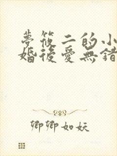 梦筱二的小说先婚后爱无错版