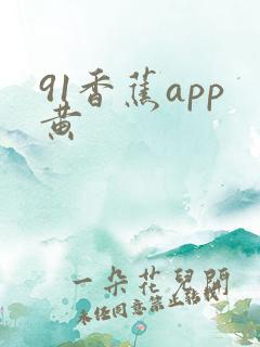 91香蕉app黄