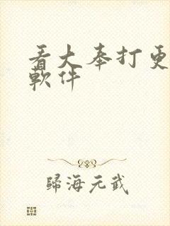 看大奉打更人的软件