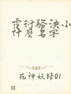 霍衍骆泱小说叫什么名字