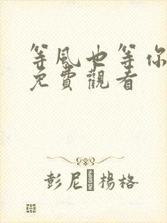 等风也等你短剧免费观看