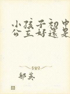 小孩子初中要读公立好还是私立好