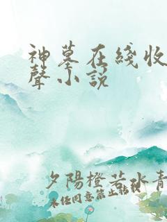 神墓在线收听有声小说