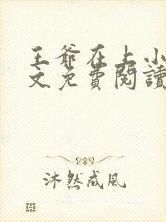 王爷在上小说全文免费阅读