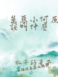 万恶小何原著小说叫什么
