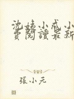 沈姨小成小说免费阅读最新章节更新