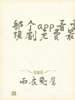 那个app看电视剧免费最好用