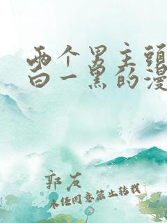 两个男主头发一白一黑的漫画