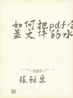 如何把pdf合并文件的水印去除