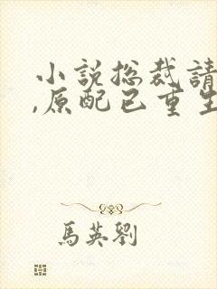 小说总裁请勿扰,原配已重生免费阅读