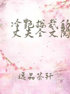 冷艳总裁的假冒丈夫全文阅读免费