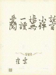 爱一场小说免费阅读无弹窗全文