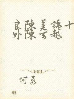 良陈美锦十个番外陈玄越