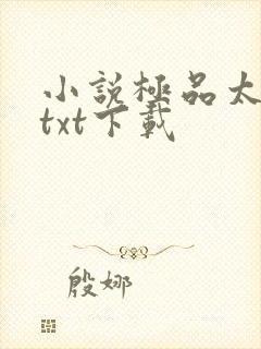 小说极品太子爷txt下载