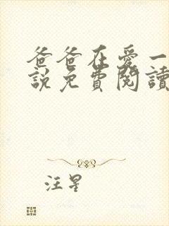 爸爸在爱一次小说免费阅读