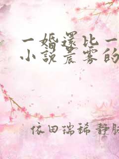 一婚还比一婚高小说晨雾的光完整版全文阅读