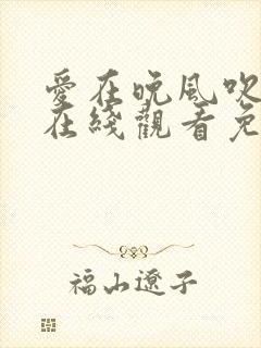 爱在晚风吹短剧在线观看免费