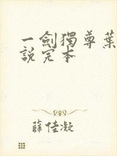 一剑独尊叶玄小说完本