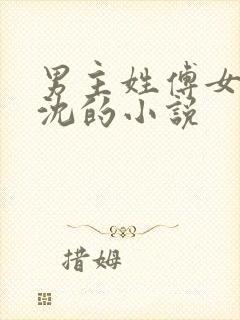 男主姓傅女主姓沈的小说