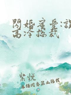 闪婚蜜爱:误嫁高冷总裁