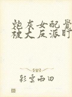 炮灰女配觉醒后被大反派盯上免费阅读