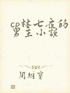 cp林七夜的双男主小说