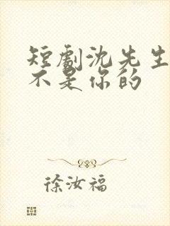 短剧沈先生孩子不是你的