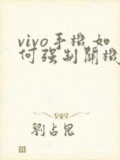 vivo手机如何强制关机呢