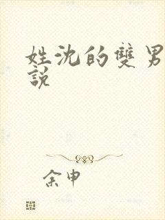 姓沈的双男主小说