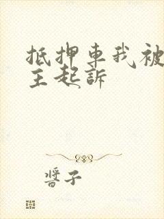 抵押车我被原车主起诉