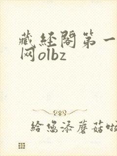 藏经阁第一版主网olbz