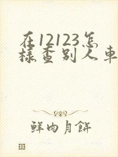 在12123怎样查别人车上的违章