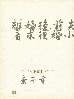 离婚后,前夫哭着求复婚小说全文在线阅读