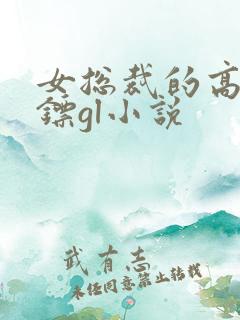 女总裁的高冷保镖gl小说