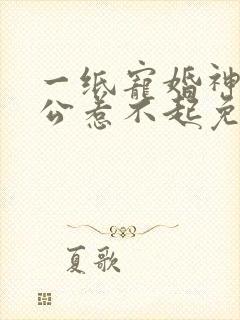 一纸宠婚神秘老公惹不起免费阅读