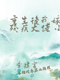 重生后我嫁给了残疾大佬 小说