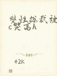 双性总裁被警察c哭高h