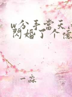 w分手当天,我闪婚了个亿万富翁》