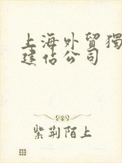 上海外贸独立站建站公司