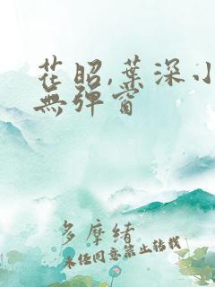 花昭,叶深小说无弹窗