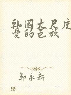 韩国大尺度电影爱的色放