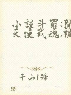 小说斗罗:开局天使武魂,被唐昊追杀免费