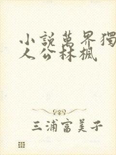 小说万界独尊主人公林枫