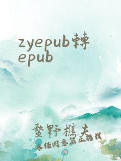 zyepub转epub